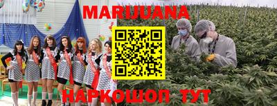 бошки Кинель