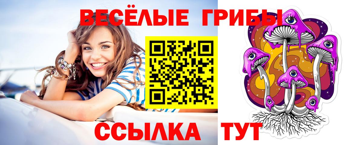 Псилоцибиновые грибы Psilocybine cubensis Кострома